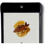 Venkovní teploměr smaltovaný, Černobílý 860x140 mm, Motiv Kapr – Zboží Mobilmania