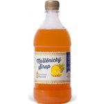 Moštěnický sirup Ananas 0,7 l – Zbozi.Blesk.cz