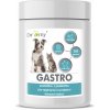Vitamíny pro psa Dromy Gastro 250 g