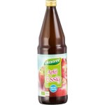 RAPUNZEL BIO NEBIO Bio jablečný ocet, demeter 750 ml – Zboží Dáma