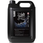 Auto Finesse Avalanche Snow Foam 5 l – Hledejceny.cz