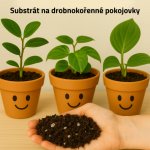 Mix č. 2 Pro drobnokořenné rostliny – Zboží Dáma