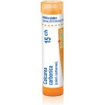 CALCAREA CARBONICA POR 15CH GRA 1X4G – Hledejceny.cz
