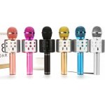WSTER WS 858 Karaoke bluetooth mikrofon černý – Zboží Dáma