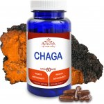 Altevita Chaga 60 kapslí – Hledejceny.cz