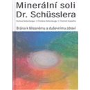 Minerální soli Dr. Shüsslera - Brána k tělesnému a duševnímu zdraví - Christine Kellenberger