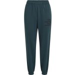 O'Neill THE FUTURE SURF SOCIETY Dámské tepláky tmavě modrá – Zboží Dáma