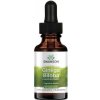 Doplněk stravy na spánek a nervovou soustavu Swanson Ginkgo Biloba Extract Liquid 29,6 ml