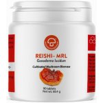 Reishi Ganoderma Lucidum 90 tablet – Hledejceny.cz