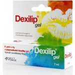 DEXILIP Gel na popraskané koutky 7 ml – Zboží Dáma