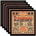 ERNIE BALL 2312 – Zboží Mobilmania