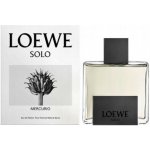 Loewe Solo Mercurio parfémovaná voda pánská 100 ml – Hledejceny.cz