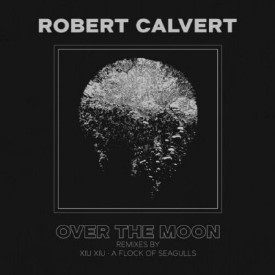 Over the Moon - Robert Calvert LP