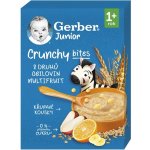 Gerber Junior nemléčná kaše ovocná s křupavými kousky 200 g – Sleviste.cz