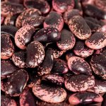 Bosfood Fazole obří velké červeno černo fialové sušené Rakousko 1 kg – Zboží Mobilmania
