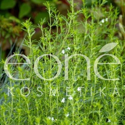Eoné Tymián linalool BIO při kašli a infekcích dýchacích cest 5 ml – Hledejceny.cz