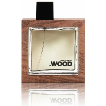 Dsquared2 He wood Rocky Mountain toaletní voda pánská 100 ml