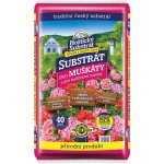 Forestina Hoštický Pro muškáty 40 l – Zboží Mobilmania