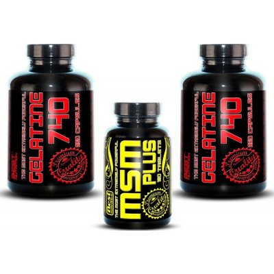 Best Nutrition Gelatine 740 + MSM 2 x 250 tablet + 120 tablet – Hledejceny.cz