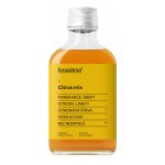 Sirupárna Domácí Citrus Mix Sirup 100 ml – Zbozi.Blesk.cz