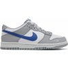 Skate boty Nike Dunk Low Mini Swoosh Wolf Grey Game Royal FN3878-001