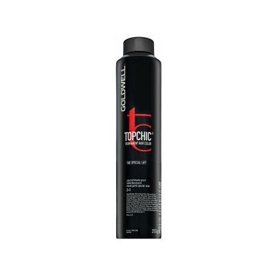 Goldwell Topchic Hair Color profesionální permanentní barva na vlasy pro všechny typy vlasů 11A 250 ml – Zboží Dáma