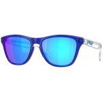 Oakley Frogskins – Hledejceny.cz