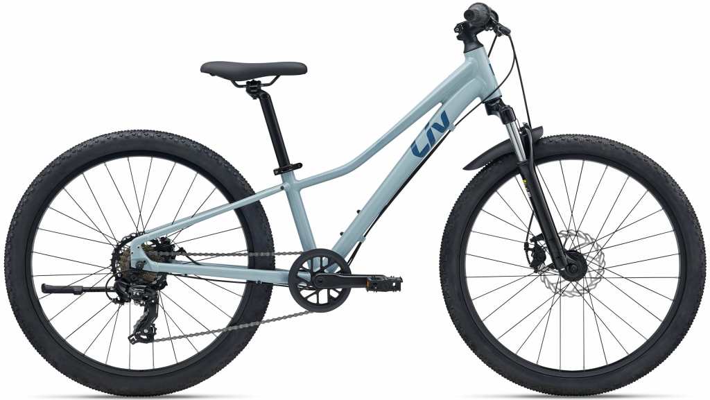 Liv Tempt 24 Disc Dusty Blue 2026