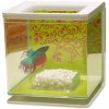 Akvária Hagen Marina Betta Kit Girl 13,5 x 13,5 x 15 cm, 2 l