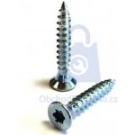 Vrut se zápustnou hlavou, TORX, plný závit, zinek bílý 3 x 10 - hobby balení, balení 1 ks – Zboží Mobilmania