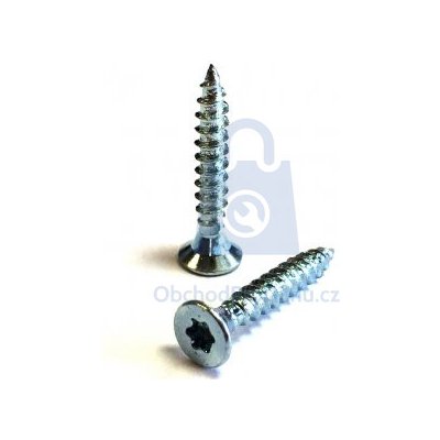 Vrut se zápustnou hlavou, TORX, plný závit, zinek bílý 3 x 10 - hobby balení, balení 1 ks – Zboží Mobilmania