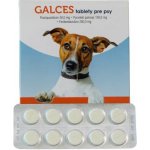 Galces Plus pro psy 100 tablet – Zbozi.Blesk.cz