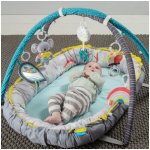 Taf Toys Hrací deka & hnízdo s hudbou – Zboží Dáma