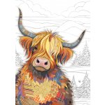 Přání G063 BUG ART KOOKS – Hledejceny.cz