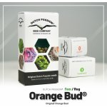 Dutch Passion Orange Bud semena neobsahují THC 1 ks – Zboží Dáma