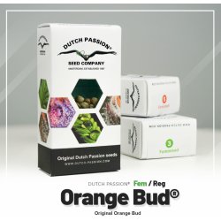 Dutch Passion Orange Bud semena neobsahují THC 1 ks