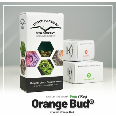 Dutch Passion Orange Bud semena neobsahují THC 1 ks – Zboží Mobilmania