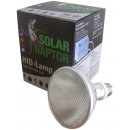 Econlux Solar Raptor UVB 50 W HID Spot