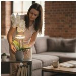 EMOS Z7902 – Hledejceny.cz