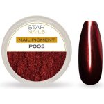 Starnails Nail Art zdobení pigment P003 – Hledejceny.cz