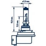 Narva H8 PGJ19-1 12V 35W – Hledejceny.cz