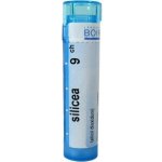 SILICEA POR 9CH GRA 4G – Hledejceny.cz