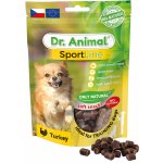 Petr Větvinský Pochoutka Dr. Animal Sportline krocan 100g