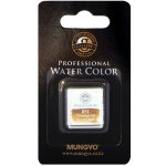 Akvarel v půlpánvičce Mungyo 847 Raw sienna – Sleviste.cz