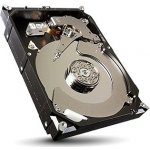 Seagate 1TB, 64MB, SATAIII, ST1000DX001 – Zboží Živě