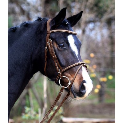 Waldhausen Uzdečka W. X line Santander tmavě hnědá – Sleviste.cz