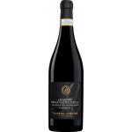Luciano Arduini Amarone della Valpolicella Classico 2022 Červené 16% 0,75 l (holá láhev) – Hledejceny.cz