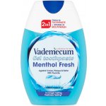 Vademecum zubní pasta 2v1 Mentol Fresh 75 ml – Hledejceny.cz