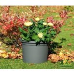 Plastia Květináč Narcis 35 cm antracit – Zboží Dáma