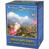Čaj Everest Ayurveda himalájský bylinný čaj SHATAPUSHPI 100 g